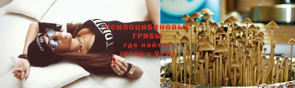 гашишное масло Заполярный