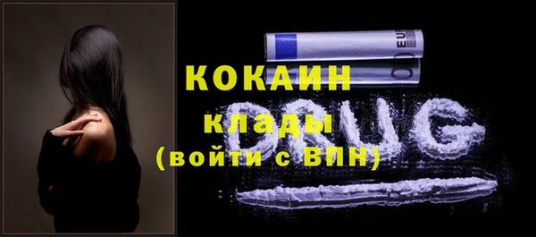 apvp Пересвет