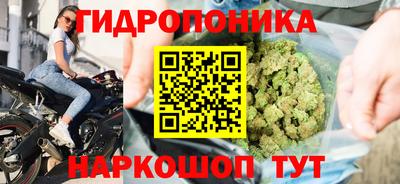 сатива Гусев