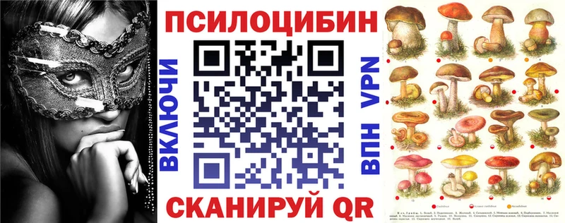 Галлюциногенные грибы Psilocybine cubensis  где продают   Кольчугино 
